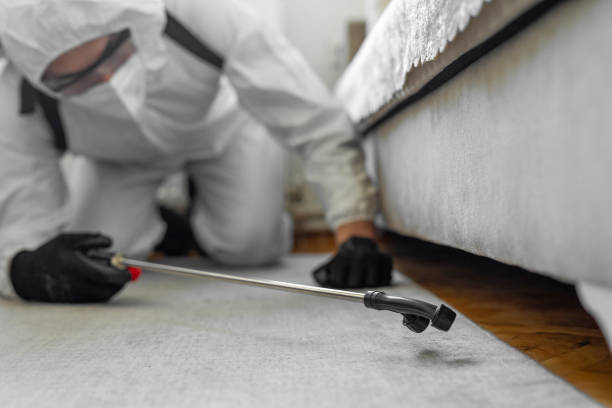 Professional Ant Control technician working in Pine Mountain, GA